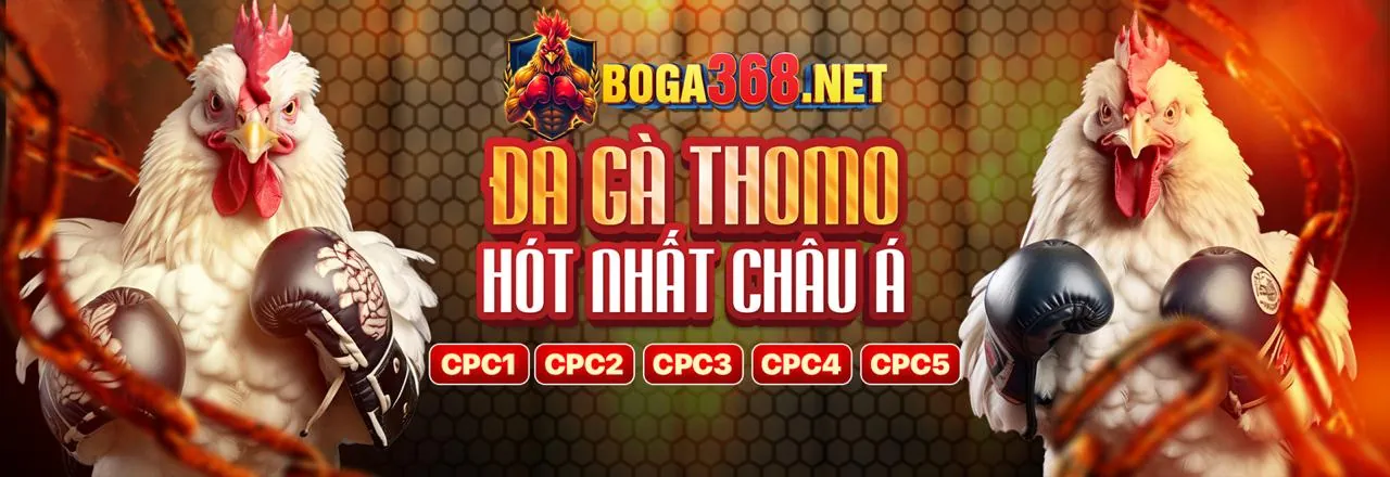 Đá gà trực tuyến kịch tính tại Sanclub 2026